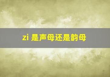 zi 是声母还是韵母